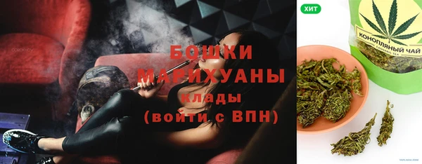 шишки Няндома