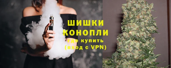 PSILOCYBIN Болхов