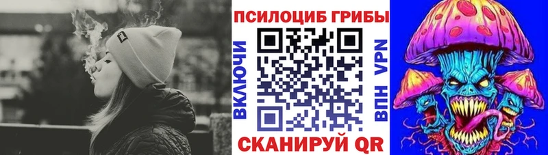 дарнет шоп  Бирюч  Галлюциногенные грибы Psilocybine cubensis 